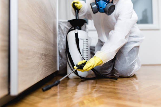  North Baltimore, OH Pest Control Pros