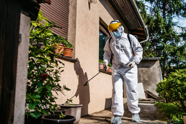 Best Mosquito Control Services  in North Baltimore, OH