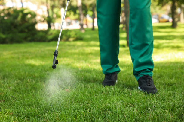 Best Pest Inspection Near Me  in North Baltimore, OH