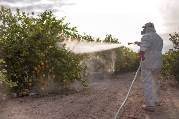 Best Affordable Pest Control Services  in North Baltimore, OH