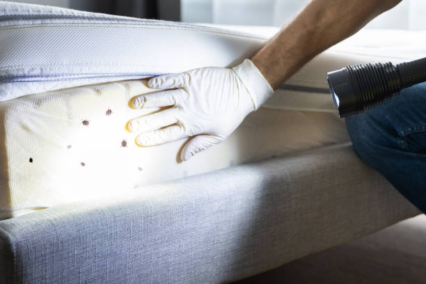Best Commercial Pest Control Services  in North Baltimore, OH