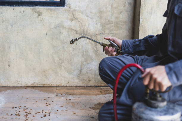 Best Wasp Removal Services  in North Baltimore, OH