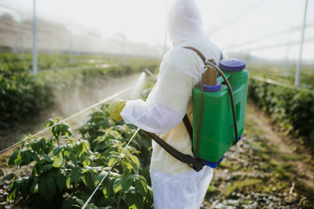 Best Flea Control Services  in North Baltimore, OH